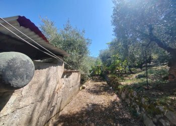 Foto 34 - Independent house Via Provinciale Sonninese, Sonnino - photo 34