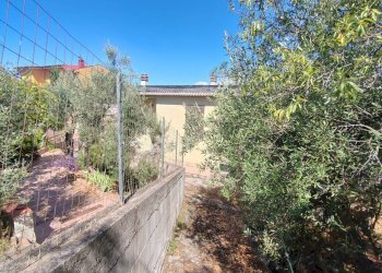 Foto 36 - Independent house Via Provinciale Sonninese, Sonnino - photo 36