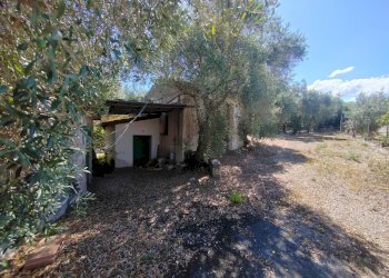 Foto 37 - Independent house Via Provinciale Sonninese, Sonnino - photo 37