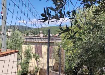 Foto 39 - Independent house Via Provinciale Sonninese, Sonnino - photo 39