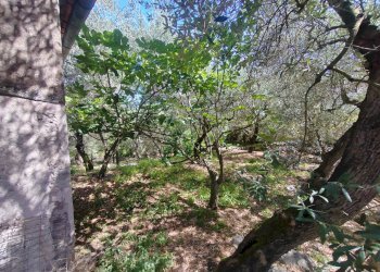 Foto 41 - Independent house Via Provinciale Sonninese, Sonnino - photo 41