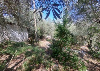 Foto 42 - Independent house Via Provinciale Sonninese, Sonnino - photo 42