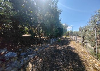 Foto 45 - Independent house Via Provinciale Sonninese, Sonnino - photo 45