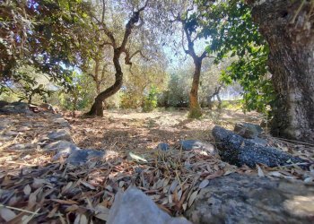 Foto 46 - Independent house Via Provinciale Sonninese, Sonnino - photo 46