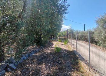 Foto 47 - Independent house Via Provinciale Sonninese, Sonnino - photo 47