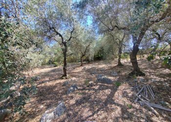 Foto 48 - Independent house Via Provinciale Sonninese, Sonnino - photo 48