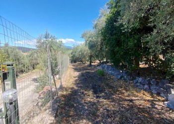 Foto 49 - Independent house Via Provinciale Sonninese, Sonnino - photo 49