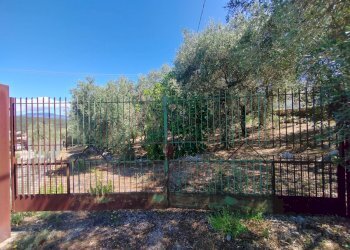 Foto 52 - Independent house Via Provinciale Sonninese, Sonnino - photo 52