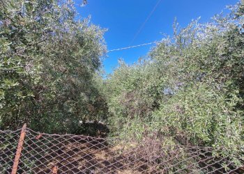 Foto 54 - Independent house Via Provinciale Sonninese, Sonnino - photo 54