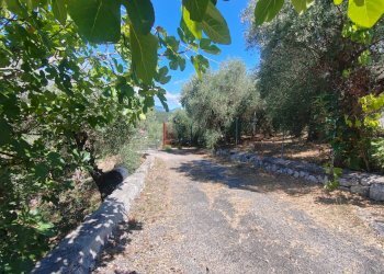 Foto 56 - Independent house Via Provinciale Sonninese, Sonnino - photo 56