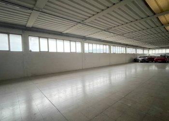 Foto 11 - Laboratorio Contrada Tesino
 
40, Ripatransone - foto 11