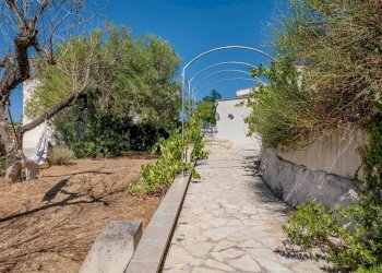 Foto 50 - Villa Contrada Cervarolo
 
snc, Ostuni - foto 50