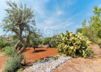 Foto 21 - Villa Contrada Badessa
 
sn, Ostuni - foto 21