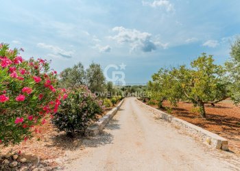 Foto 24 - Villa Contrada Badessa
 
sn, Ostuni - foto 24