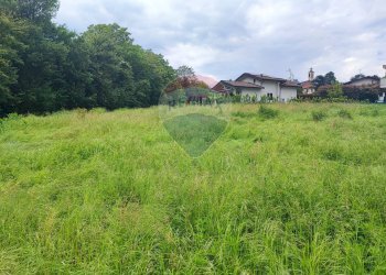 Giardino - Terreno edificabile Laveno-Mombello - foto 2