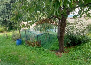 Giardino - Bilocale Via Motti
 
6, Gemonio - foto 13