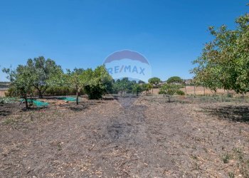 Giardino - Stabile - Palazzo Strada Comunale Gabella
snc, Grammichele - foto 5