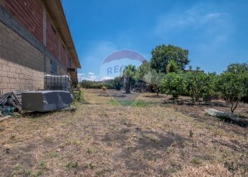 Giardino - Stabile - Palazzo Strada Comunale Gabella
snc, Grammichele - foto 6