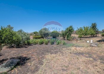 Giardino - Stabile - Palazzo Strada Comunale Gabella
snc, Grammichele - foto 7