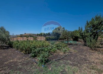 Giardino - Stabile - Palazzo Strada Comunale Gabella
snc, Grammichele - foto 8