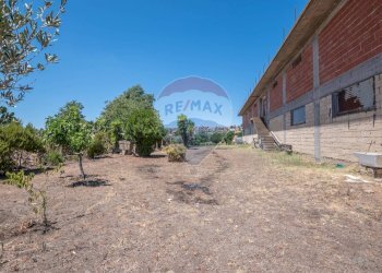 Giardino - Stabile - Palazzo Strada Comunale Gabella
snc, Grammichele - foto 14