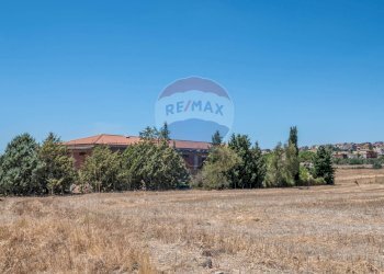 Giardino - Stabile - Palazzo Strada Comunale Gabella
snc, Grammichele - foto 25