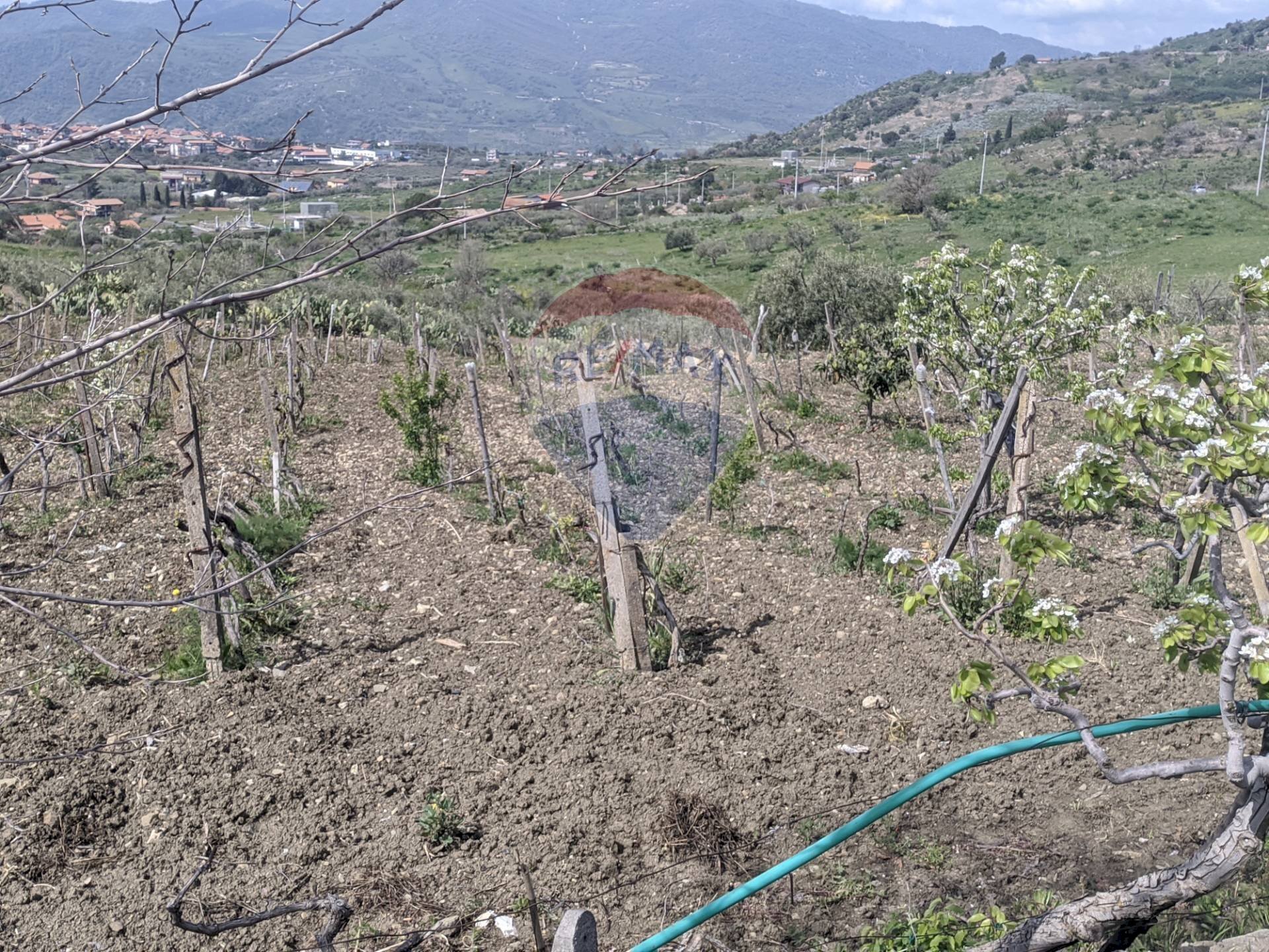 Vista delle montagne - Agricultural land Via G. Brodolini, Bronte - photo 2
