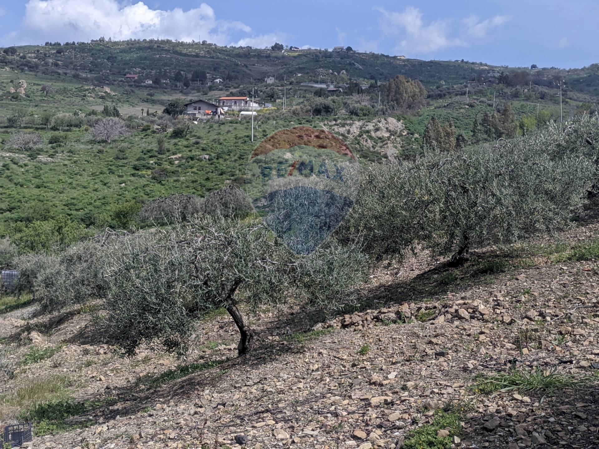 Vista delle montagne - Agricultural land Via G. Brodolini, Bronte - photo 3