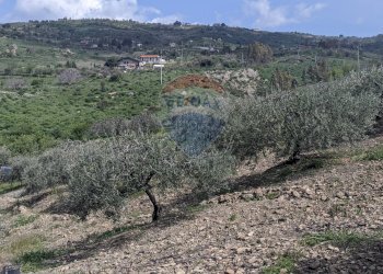 Vista delle montagne - Terreno agricolo Via G. Brodolini, Bronte - foto 3