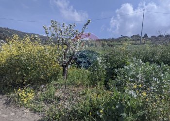 Vista delle montagne - Terreno agricolo Via G. Brodolini, Bronte - foto 10