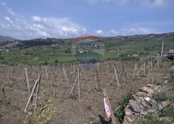 Vista delle montagne - Terreno agricolo Via G. Brodolini, Bronte - foto 11