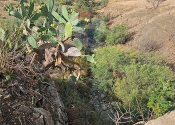Vista delle montagne - Terreno agricolo Via G. Brodolini, Bronte - foto 14