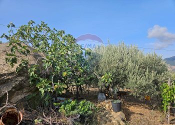 Giardino - Terreno agricolo Via G. Brodolini, Bronte - foto 19