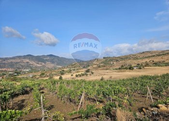 Vista delle montagne - Terreno agricolo Via G. Brodolini, Bronte - foto 21