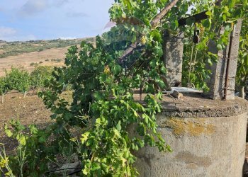 Giardino - Terreno agricolo Via G. Brodolini, Bronte - foto 25