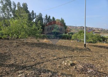Giardino - Terreno agricolo Via G. Brodolini, Bronte - foto 27