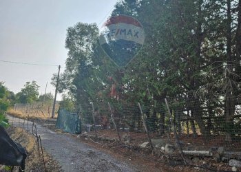 Giardino - Terreno agricolo Via G. Brodolini, Bronte - foto 31