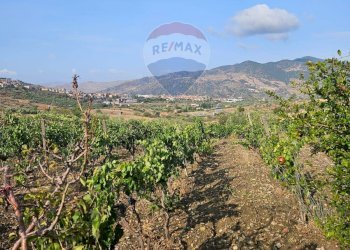 Vista delle montagne - Terreno agricolo Via G. Brodolini, Bronte - foto 32
