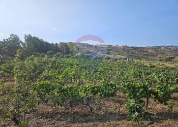 Vista delle montagne - Terreno agricolo Via G. Brodolini, Bronte - foto 35