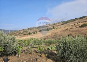 Vista delle montagne - Terreno agricolo Via G. Brodolini, Bronte - foto 39