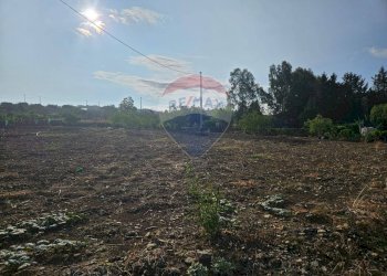 Giardino - Terreno agricolo Via G. Brodolini, Bronte - foto 42