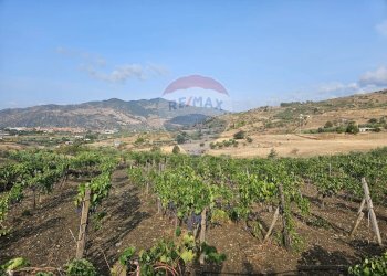 Vista delle montagne - Terreno agricolo Via G. Brodolini, Bronte - foto 44
