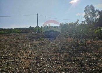 Vista delle montagne - Terreno agricolo Via G. Brodolini, Bronte - foto 45