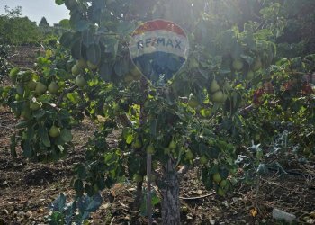 Vista delle montagne - Terreno agricolo Via G. Brodolini, Bronte - foto 50