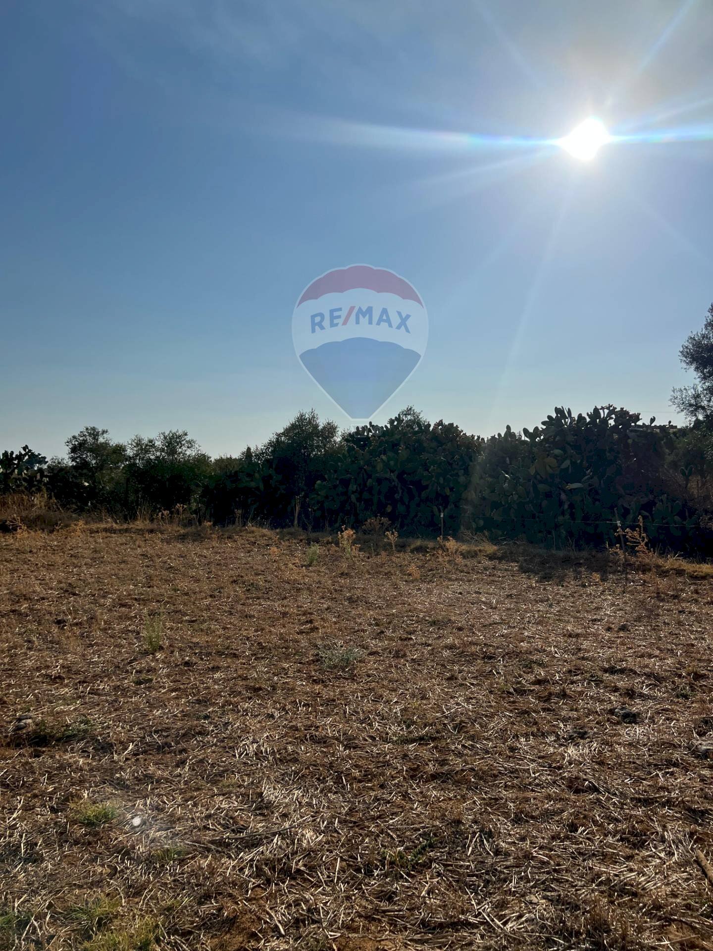 Vista delle montagne - Terreno agricolo Via Gianbattista Tiepolo
 
snc, Caltagirone - foto 3