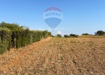 Vista delle montagne - Terreno agricolo Via Gianbattista Tiepolo
 
snc, Caltagirone - foto 4
