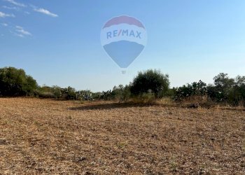 Giardino - Terreno agricolo Via Gianbattista Tiepolo
 
snc, Caltagirone - foto 5