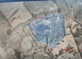 Foto 5 - Terreno agricolo Contrada Rifugio
 
snc, Caltagirone - foto 5