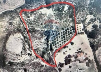 Foto 6 - Terreno agricolo Contrada Rifugio
 
snc, Caltagirone - foto 6