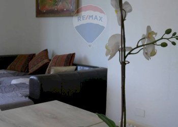 Dettagli - Quadrilocale Anzio - foto 18